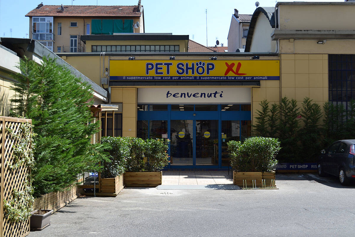 Pet Shop Xl, Torino