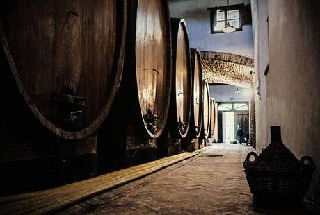 Le migliori Aziende Vinicole provincia di Arezzo